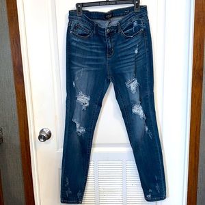 Judy Blue Skinny Jeans